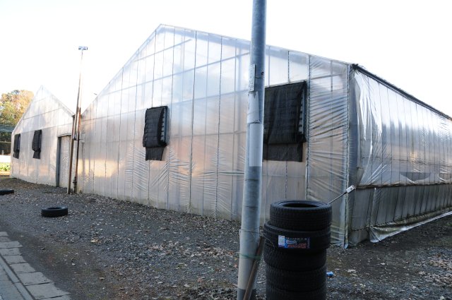 高橋農園ハウス