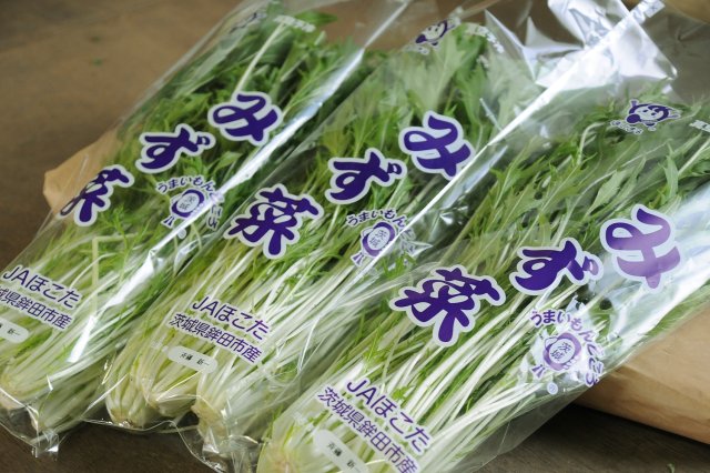 JAほこた　みず菜