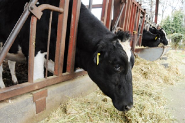 人も牛も健康に2