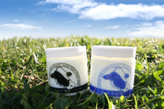 完全無添加のヨーグルト1