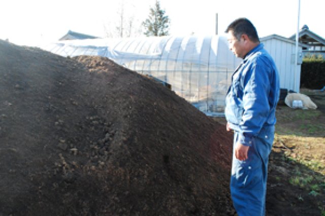 おいしくて、安全で、見た目の良いイチゴ作り1