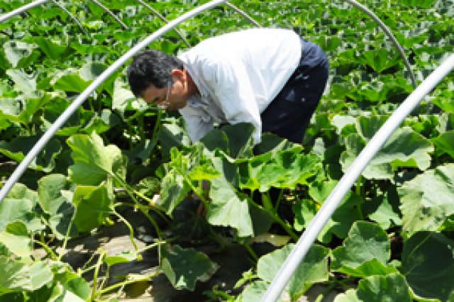 大切な子供と同じように