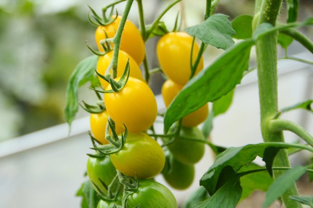 重要なのはバランスを保つこと3