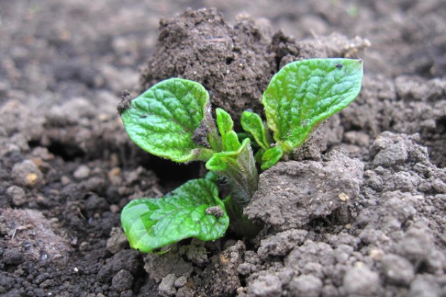 重要なのはバランスを保つこと2