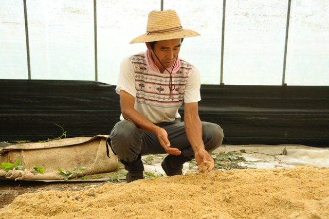 「堆肥はご飯、肥料はおかず。」1