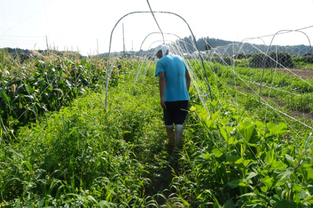 会社員から新規就農！1