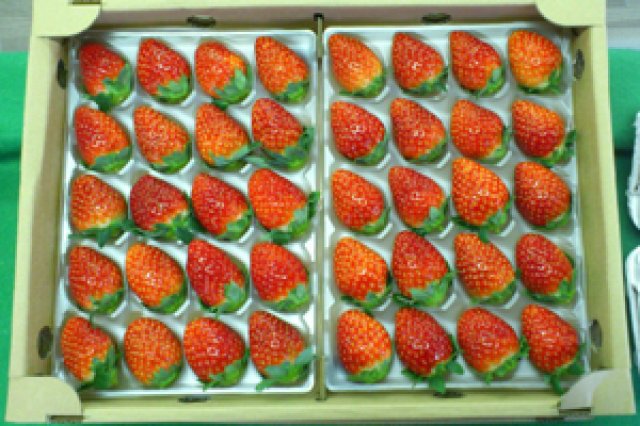 都竹さんのいちご