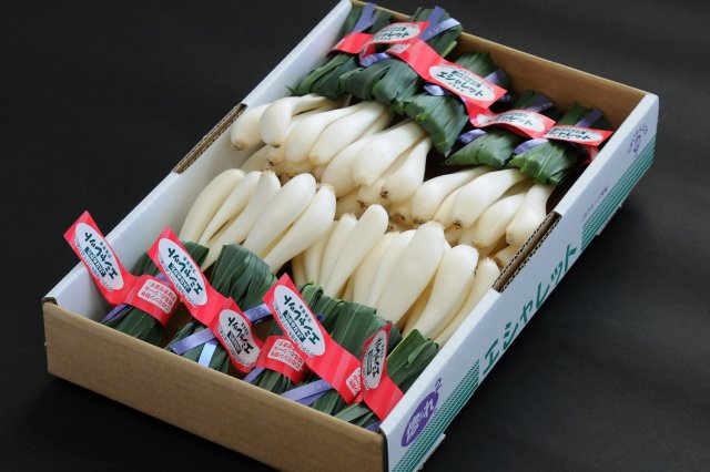 なめがたのエシャレットは生産量トップクラス！