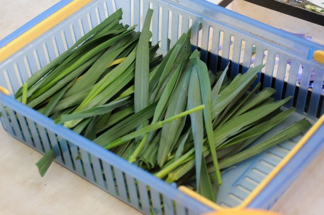 なめがたのエシャレットは生産量トップクラス！