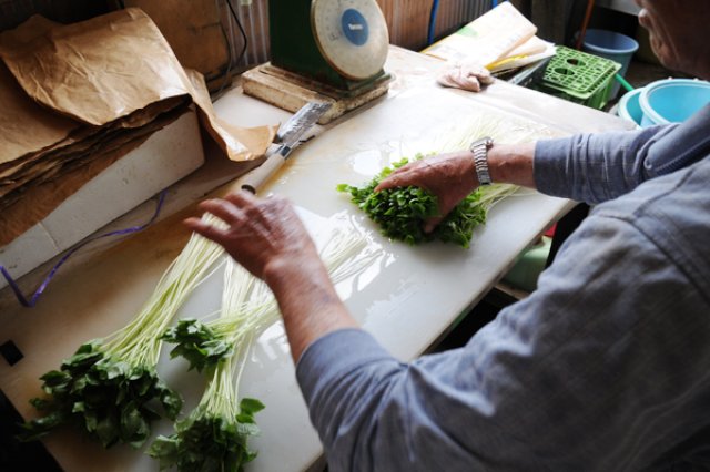 谷和原の切りみつば　選別