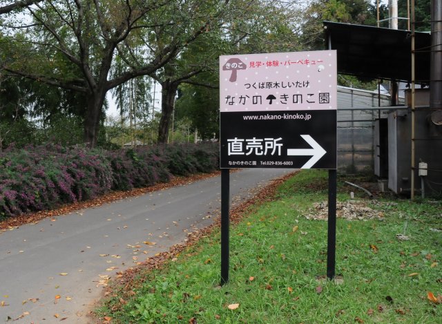 なかのきのこ園入口