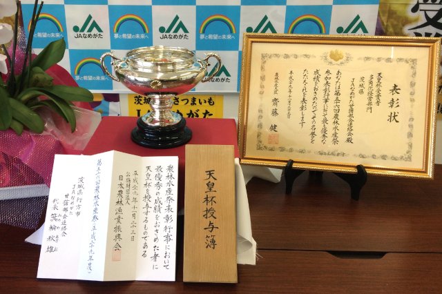 天皇杯受賞　賞状など