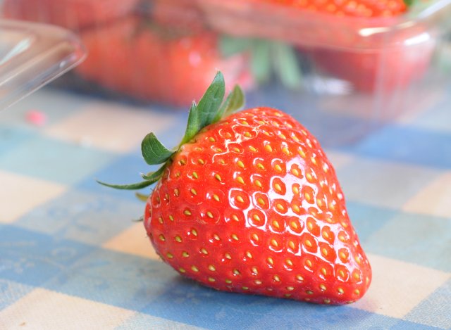 谷中いちご園　いちご