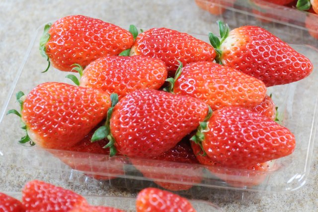 井川さんのいばらキッス