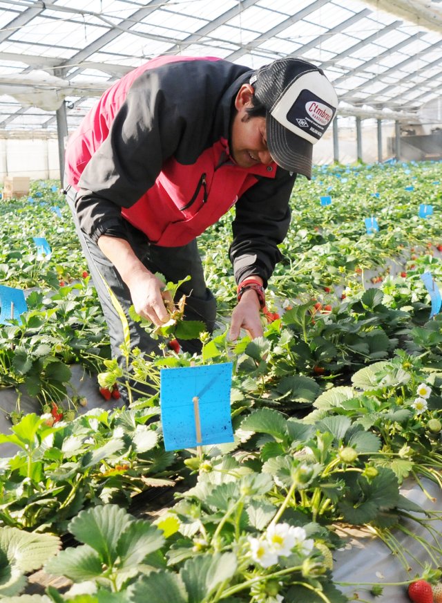 宇佐見達夫さん