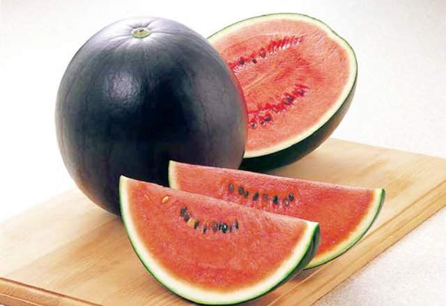 黒こだますいかイメージ