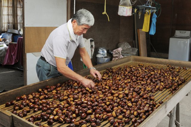 合計3回の選別を行う