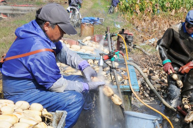 その場で井戸水で洗浄を行う