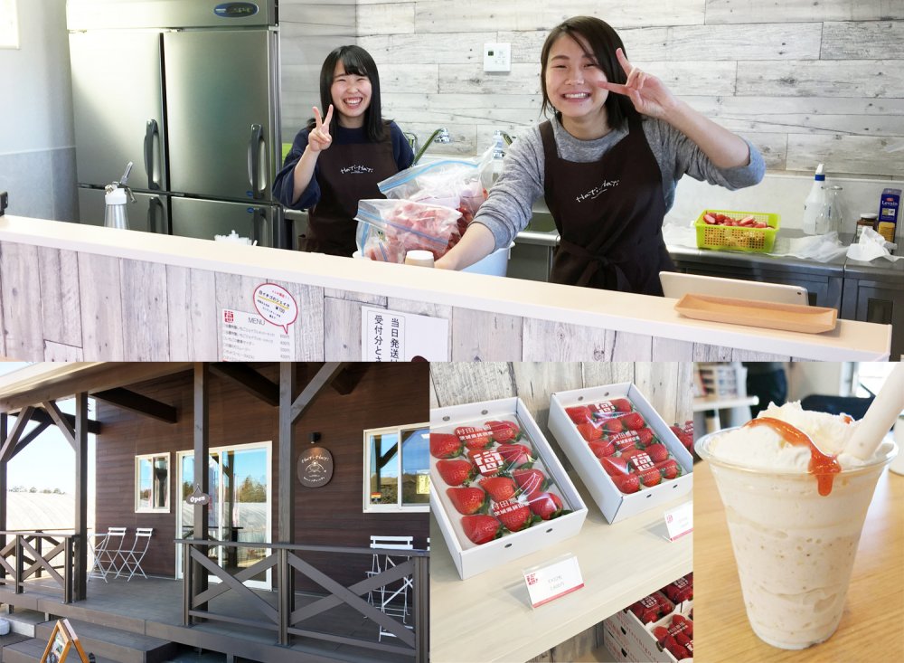 「畑のラウンジ ハティハティ」イメージ