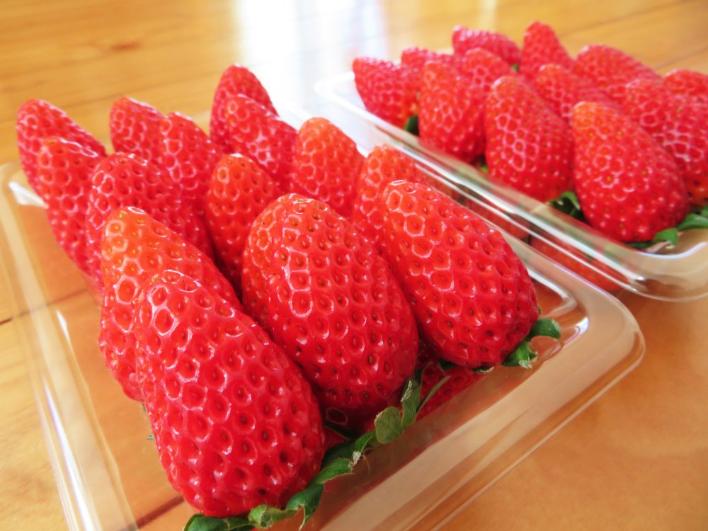 茨城県オリジナルいちご いばらキッス