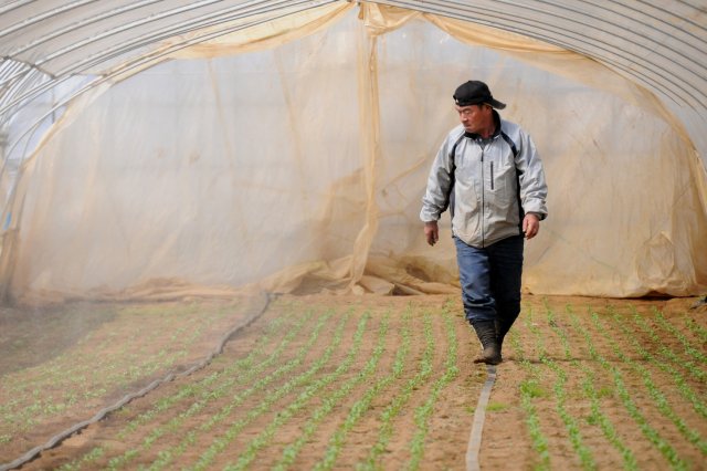 水のかかり具合を見て周る塙さん