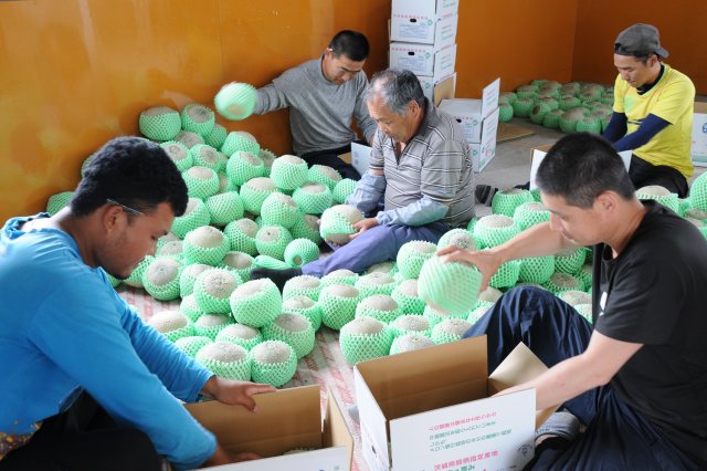 研修生たちと石川さん
