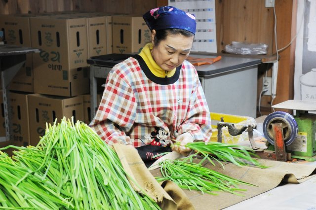 高野さんのお義母さん。作業場の一切を取り仕切る。