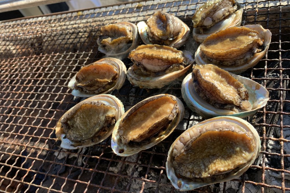 一口アワビの試食!