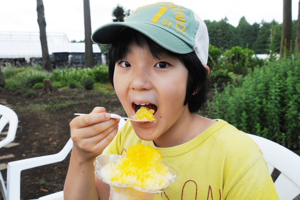 マンゴーはまだできていなかったので、やすだ園のマンゴーを使ったかき氷シロップをかけたかき氷をいただき、「ものすごく濃厚!!」と感動の湊くん。