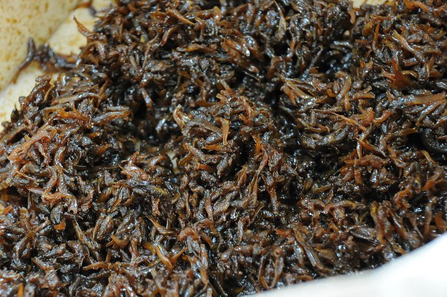 看板商品「はぜの佃煮」