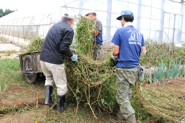 仕事中の千葉さんとスタッフ