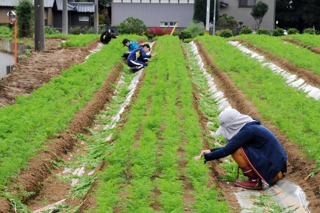 この日は大学生のアルバイトも来ていた
