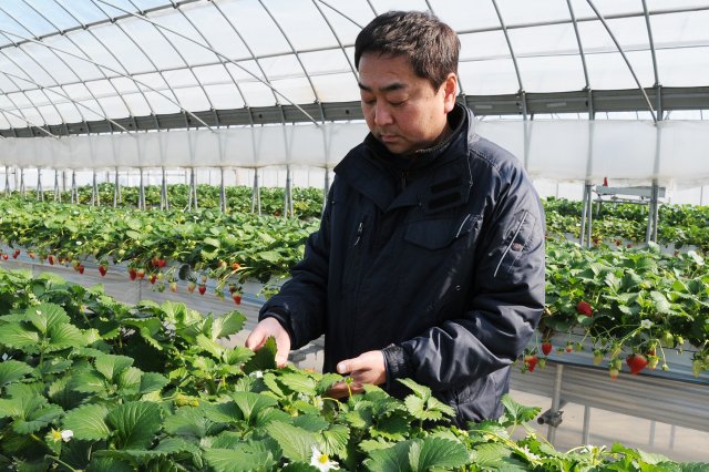 作業中の吉原さん