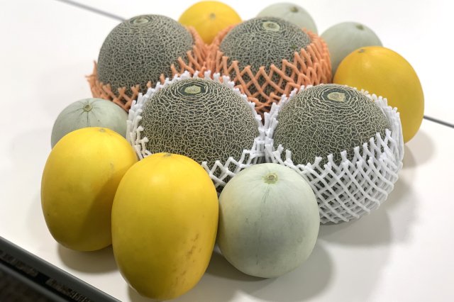 タカミメロン、キンショーメロン、プリンスメロン