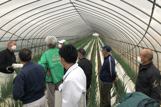 現地巡回の様子