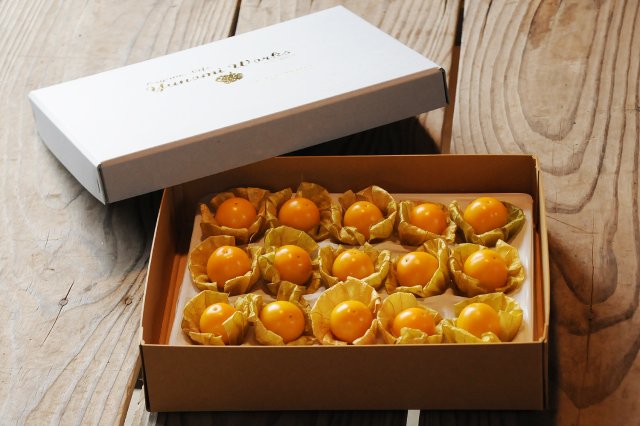 「高萩ほおずき」