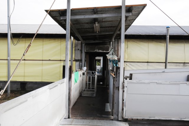 武熊さん自作の豚用通路