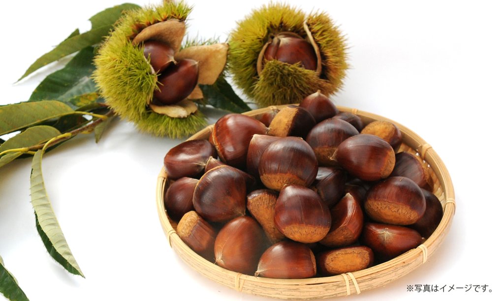 第512回プレゼント企画　ふかさわ農園(農工房ふかさわ)【氷蔵熟成栗】