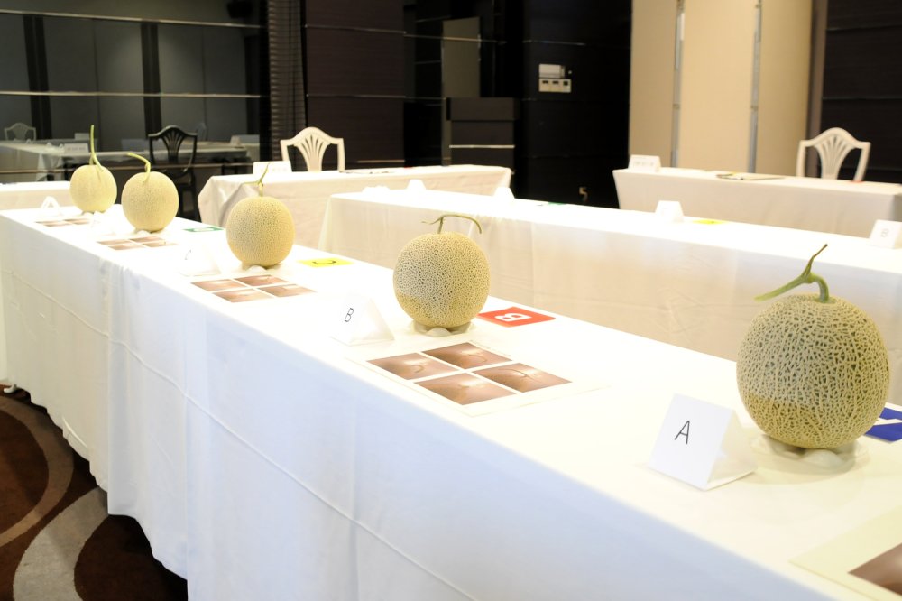 最終審査に残った5つのメロン(イバラキング)