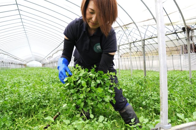内海真理子さん