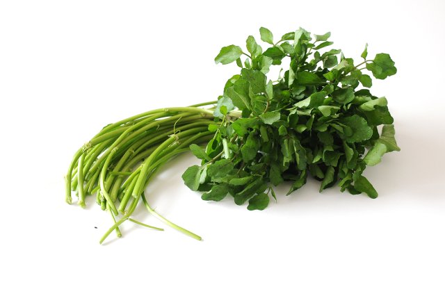 みくにクレソン