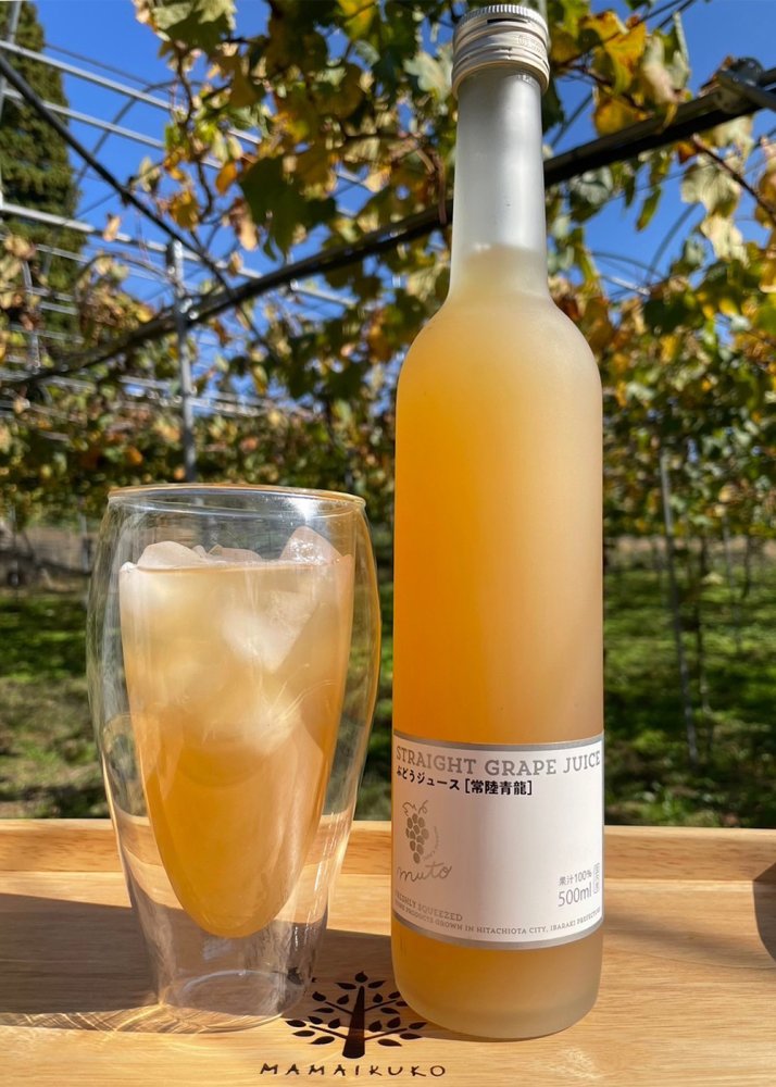ぶどうジュース(常陸青龍)