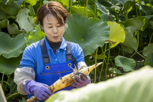女性農業士として地域の農業を牽引していく藤井さん