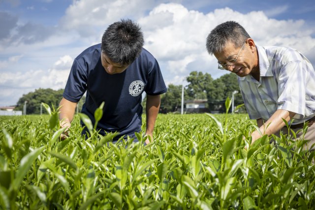 親子で茶畑を管理する飯山万寿夫さんと息子の翔平さん
