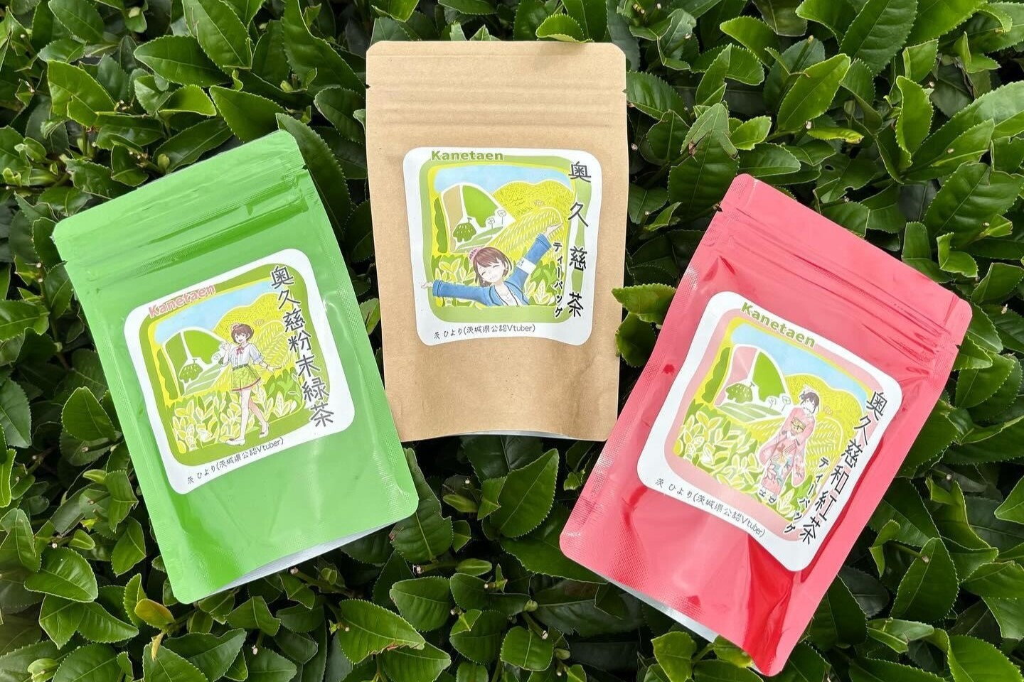 第578回プレゼント企画　かねた園【奥久慈茶＆和紅茶セット】