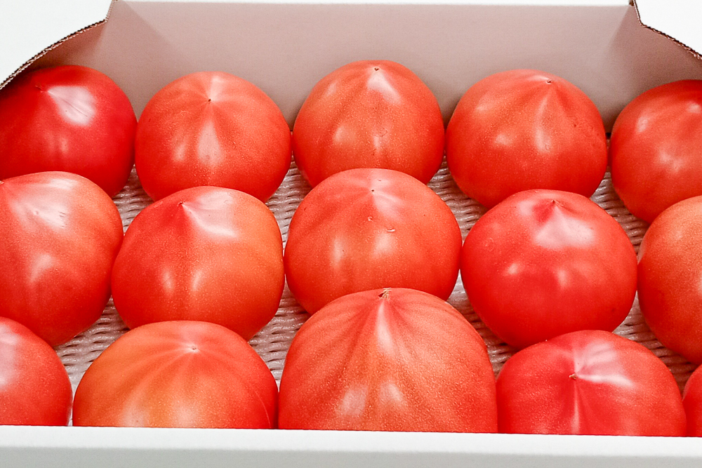 第604回プレゼント企画　茨城県施設園芸研究会【レディーファースト】