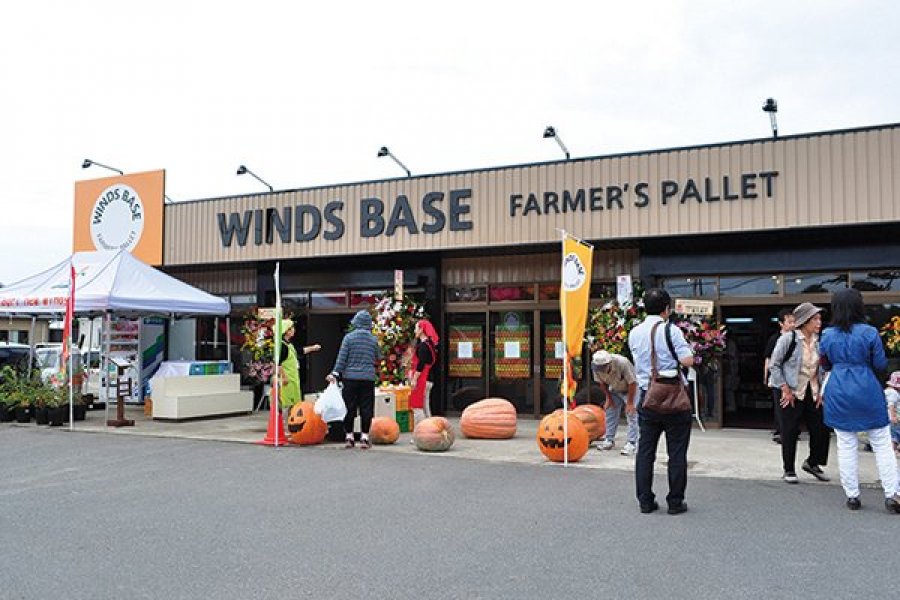 WINDS BASE