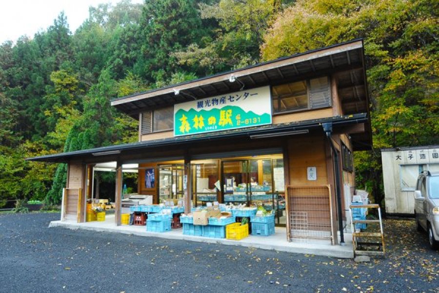 観光物産センター  森林の駅