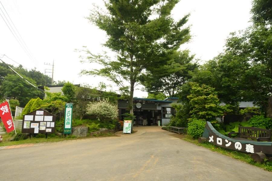 フォレストパークメロンの森