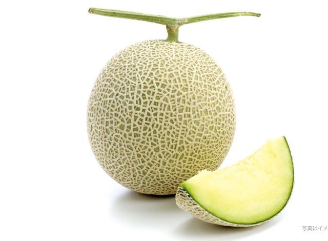 アールスメロン　イメージ